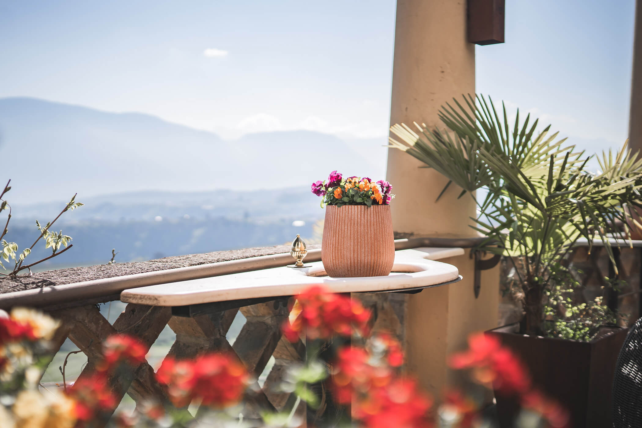 Hotel - Detail Blumen